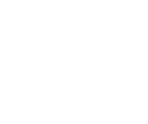 verified information only icon